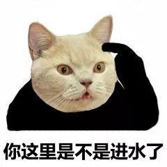 你这里是不是进水了 - 猫脸熊猫人表情包