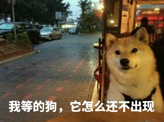 我等的狗，它怎么还不出现 - 我等的狗，它怎么还不出现_狗子_doge_单身狗表情