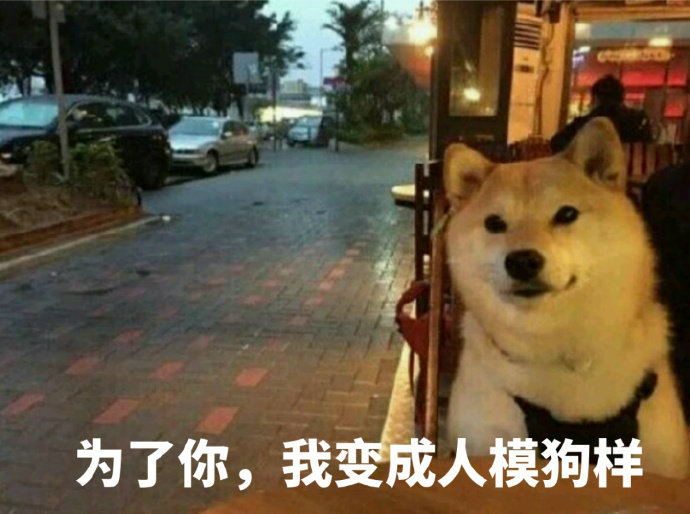 为了你，我变成人模狗样 - 我等的狗，它怎么还不出现_狗子_doge_单身狗表情