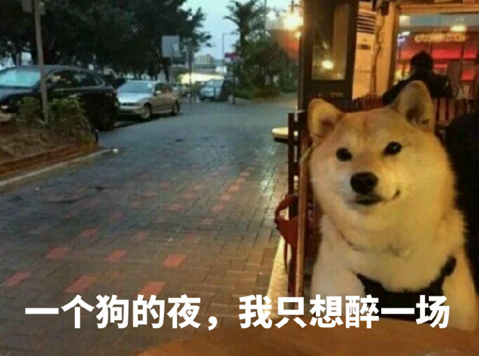 一个狗的夜，我只想醉一场 - 我等的狗，它怎么还不出现_狗子_doge_单身狗表情