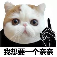 我想要一个亲亲 - 猫脸熊猫人表情包