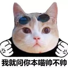 我就问你本喵帅不帅 - 猫脸熊猫人表情包