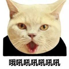 哦吼吼吼吼吼吼 - 猫脸熊猫人表情包