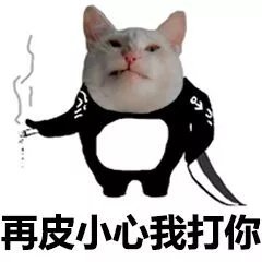 再皮小心我打你 - 猫脸熊猫人表情包