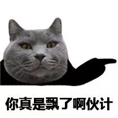 你真是飘了啊伙计 - 猫脸熊猫人表情包